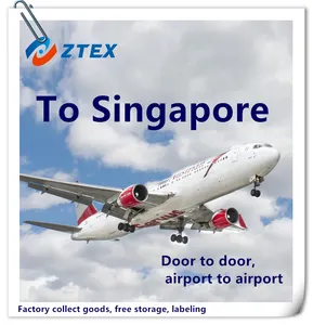 Service de Fret Aérien à Bas Prix Porte à Porte DDP DDU agent maritime depuis la Chine vers l'Asie du Sud-Est Singapour