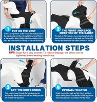 Attelle de genou pour chien de compagnie en gros, pour déchirure du ligament croisé avant, jambe arrière, respirante, attelle de récupération pour genou, soutien pour les pattes arrière, manchon pour pattes arrière