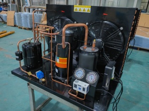 <span class=keywords><strong>5HP</strong></span> invotech ngưng tụ đơn vị CuộN máy nén đơn vị YM86E3G-100 R404a đơn vị làm lạnh 1PH 220V 60Hz cho phòng lạnh - Product Image 2