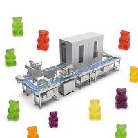 Multivitamine Gummy Depositiemachine met PC-mal voor het vullen van gevulde snoepjes voor voedingsmiddelenfabrieken