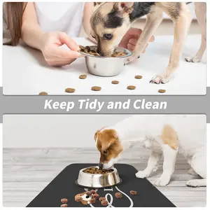 Evcil hayvan besleme paspası köpek maması paspaslar kullanımı diyatomit kauçuk kaymaz emici yıkanabilir su geçirmez silikon kedi yalamak Mat değiştirin