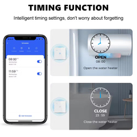 Interrupteur de chauffe-eau intelligent Tuya WiFi 40A en verre trempé tactile, norme américaine/australienne, contrôle 4400, interrupteur bouillir/air 20A