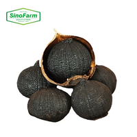 Nouvelle Récolte Ail Noir Solo Fermenté Premium Vieilli, Superaliment Naturel Sain Riche en Allicine, Prix de Gros, Ail en Vrac