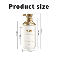 Bouteille ronde en PET dépoli 500 ml avec pompe électroplaquée et estampage à chaud doré pour shampoing, après-shampoing, gel douche – Vente en gros