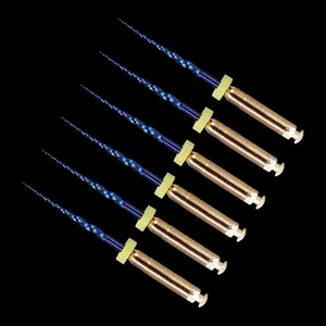 Heat Activated Large Taper 04 Engine Use 19mm SX Dental Rotary File