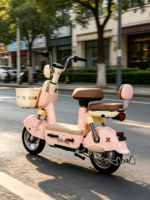 Vélo électrique 350W à moteur silencieux 48V avec moteur à moyeu arrière et freins à tambour avant/arrière pour les trajets quotidiens