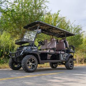 Voitures de golf électriques à batterie personnalisées et confortables - Product Image 6