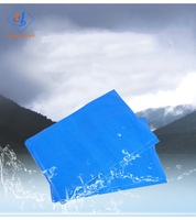 Bâches de bâche de Pe bleu bâche imperméable résistante de la Chine 20x30
