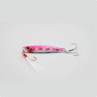 Leurre de jigging avec poids en plomb pour eau douce et eau salée, pour bar rayé, bar noir et poisson mandarin, avec appât.
