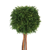 Topiaire sphérique en cyprès préservé de 42 cm de hauteur, plante artificielle réaliste en forme de cyprès, ornement décoratif pour l'intérieur et l'extérieur