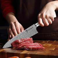 Ensemble de couteaux de cuisine Damas japonais ultra-affûtés 67 couches en acier inoxydable à haute teneur en carbone - Manche en résine et bois solidifié