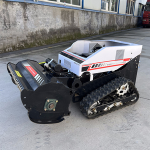 Tondeuse à gazon robotisée télécommandée sans fil CE EPA, certifiée, 500 600 800 1000 1200mm, pour pentes, prix usine, modèle D - Product Image 5