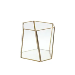 Florero artístico moderno de vidrio transparente, Terrario de vidrio para invernadero
