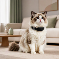 Collier de suivi GPS GLONASS LBS 4G intelligent pour animaux de compagnie, anti-perte, étanche, compatible Android, suivi en temps réel
