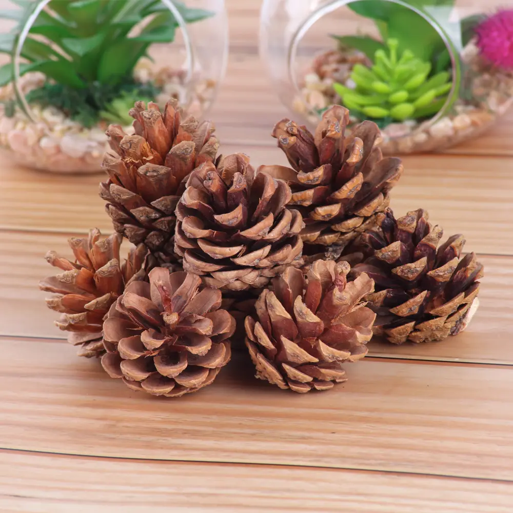 2022 cones de pinha árvore de natal, decorações natalinas, pinha, penduradas em flores secas, acessórios de bainha de material faça você mesmo