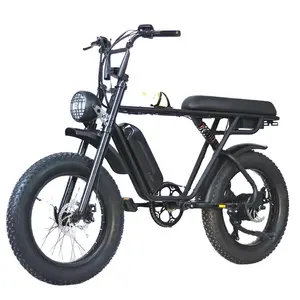 2022 Hot Avondmaal September Grote Korting 20Inch Fat Tire Fiets Ebike Elektrische Fiets Van Mofun In China