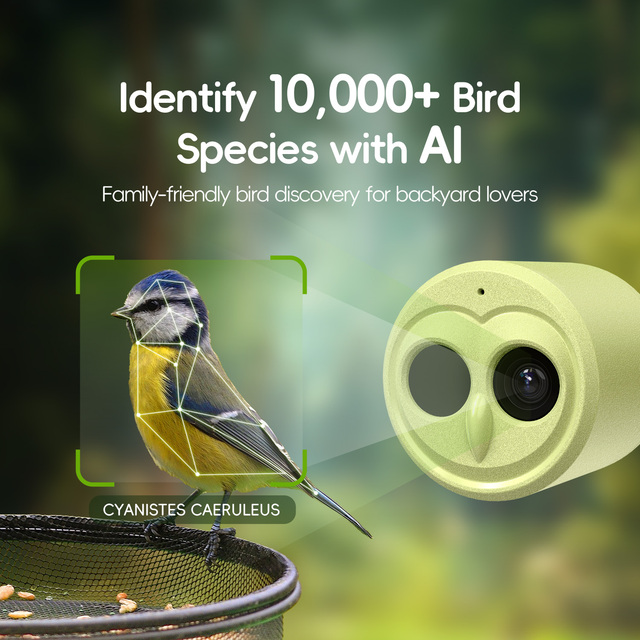 Solar AI Identify Bird Box Camera Auto-Capture 4K Video 5G WiFi Smart Bird Feeder Watching Camera