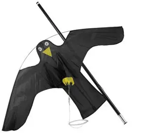 Oiseau noir à ailes rondes, style griffe jaune