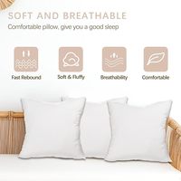 Coussin d'appoint 18x18 avec garnissage en fibres de polyester, housse en microfibre douce, soutien moyen ferme