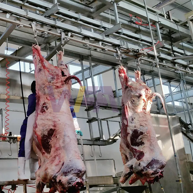 Sığır kesim hattının inek keçi kesim makinesi lal sığır koyun eti abattoir ekipmanları