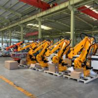 Robot de palettisation industriel robuste 100 kg 150 kg 200 kg pour l'empilage de cartons et de sacs