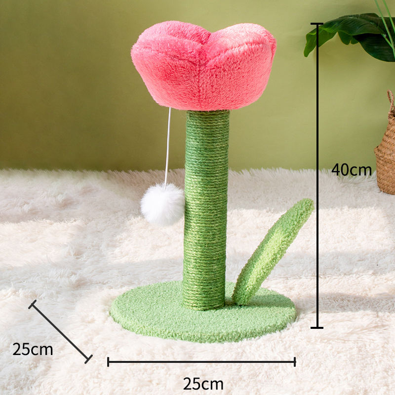 กุหลาบสีชมพู