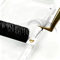 Extensions de cils Neelash multicouches, style naturel, faciles à éventailer, noir mat, faites à la main, sans cruauté, usage professionnel, personnalisables