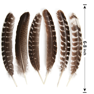 Venta caliente al por mayor barato salvaje prohibido pavo colas ala pluma para atado <span class=keywords><strong>de</strong></span> moscas artesanías tocado indio decoraciones - Product Image 2