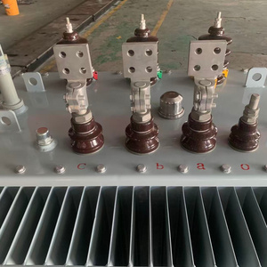 Transformateur de distribution immergé dans l'huile S13-M-500, triphasé, Dyn11, bobinage en cuivre, 10 kV à 400 V, pour complexe commercial S13-M-500/10-0. - Product Image 4