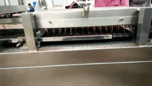 2021 operación Simple automática bandeja sembradora <span class=keywords><strong>vivero</strong></span> máquina de alta calidad 750 bandejas/hora con precio <span class=keywords><strong>barato</strong></span> - Product Image 3