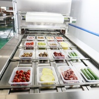 Machine à emballer entièrement automatique CE pour sceller les plateaux plats préfabriqués de fruits de mer machine à sceller les plateaux MAP en continu pour les produits à base de viande et les aliments