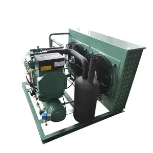 Ruixue 2024 Unité de réfrigération de type ouvert de haute qualité avec compresseur pour système de refroidissement de chambre froide