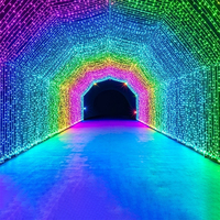 Rideau lumineux LED RGB programmable DMX, étanche IP65, guirlande lumineuse en maille pour extérieur, décoration de façade de bâtiment pour Noël