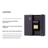 Marque privée OEM ODM Parfum d'intérieur de luxe 100ml pour hôtel Parfum Aromathérapie Ensemble diffuseur de roseaux avec boîte cadeau