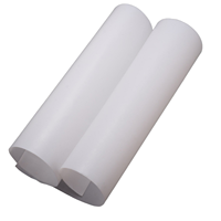 Film PTFE chinois super fin, épaisseur 0,05 mm, largeur maximale 1500-1600 mm, service de découpe, qualité alimentaire, résistant aux UV