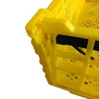 Usine en gros caisse/panier en plastique pliable pour l'agriculture fruits légumes PP panier pliant en plastique