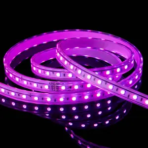 Striscia di decorazione per ufficio dell'hotel per la casa impermeabile IP65 tubo flessibile in PVC trasparente cristallino Led Rope Light