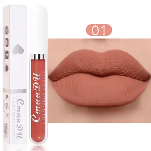 Duurzame 18 Kleuren Zijdezachte Matte Lipgloss Langdurige Anti-Stick Lip Beauty Make-Up Waterdichte Vloeibare Lippenstift