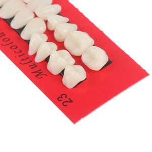 Prótesis Dentales Prácticas para Laboratorio Dental o Uso Educativo - Product Image 4