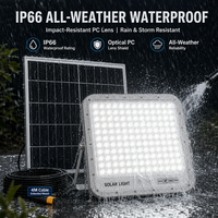 Harga Pabrik Lampu Sorot Tenaga Surya 300W Aluminium Die-cast Tahan Air IP66 Lampu Jalan LED Outdoor dengan Remote Control