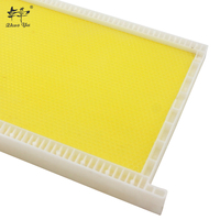Trade Assurance New Langstorth Beehive Foundation con marco Plastic Honey Comb Beehive con garantía de alta calidad