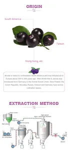Pasokan bubuk Berry Acai kering beku organik bubuk buah Berry Acai larut air bubuk beri Acai Brasil