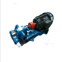 Kleine Gusseisen-Edelstahl-304-316-KCB-Zahnradpumpe 220V Elektropumpe für Öl-, Chemikalien- und Lebensmitteltransfer mit Anpassbarer Kabellänge für OEM-Anwendungen