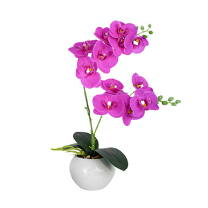 LE-28 Vente en gros de pot de fleurs en céramique 43cm 2 têtes Fleurs <span class=keywords><strong>d</strong></span>'orchidée artificielles au toucher réel pour mariage Saint-Valentin Nouvel An - Product Image 1