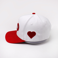 Casquettes de baseball personnalisées en coton à deux tons avec logo brodé 3D, 5 panneaux, pour femmes et hommes, casquettes de sport incurvées