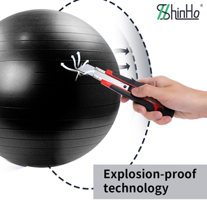 Palla da Yoga Classica in PVC Economica Shinho, Tecnologia Anti-Scoppio e Sicura per Principianti, Responsabile sul Mercato per <span class=keywords><strong>Rivenditori</strong></span> Globali - Product Image 5