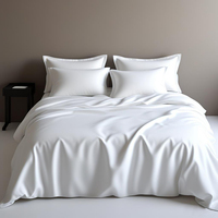 Vente en gros de draps de lit modernes en microfibre OEKO-TEX, ensemble de drap-housse et taie d'oreiller tissés doux et respirants