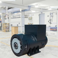 Tête de générateur robuste d'alternateur à courant alternatif sans balais en cuivre 1000kW 100% pour systèmes de centrales électriques