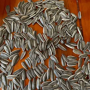 중국 고품질 유기농 멜론 씨앗 도매 건조 해바라기 씨앗 오일 추출을위한 커널