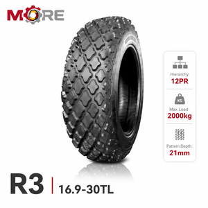Pneu agricole compacteur GUOXIN neuf 16.9-30TL R3, diagonale, plein, tubeless, résistant à l'usure pour la compactation des sols - Product Image 1